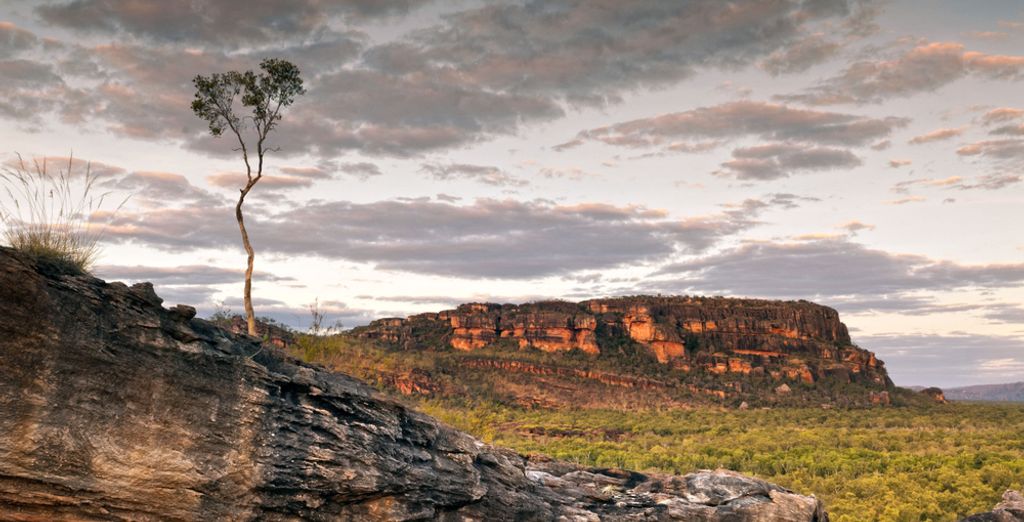 Ciudades, arrecife y selva tropical en Australia