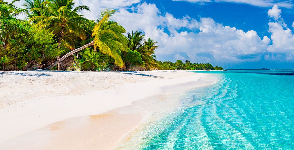 Esplendores de Ceilán y Maldivas