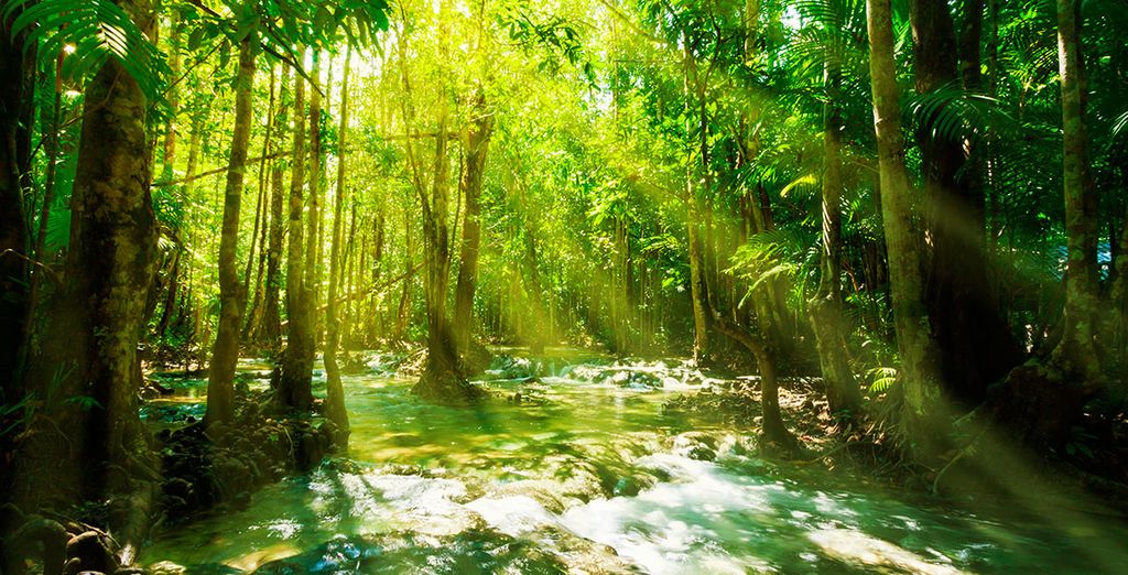 Kalima 5*, Holiday Inn Phi Phi Island 4* y Pakasai Resort 4*