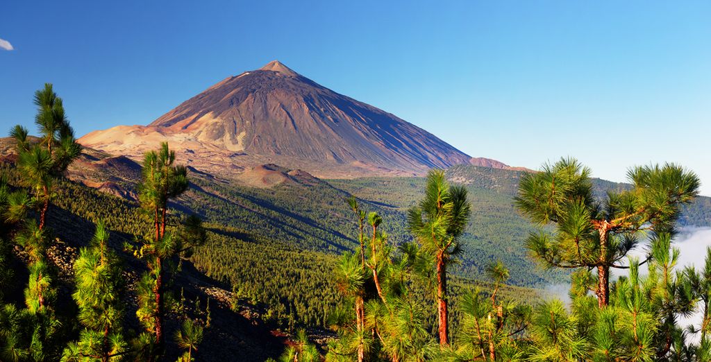 The Ritz-Carlton Abama 5*