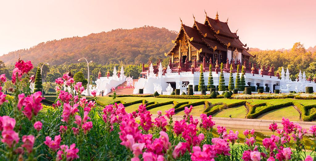 Bangkok, Triángulo de Oro y Krabi