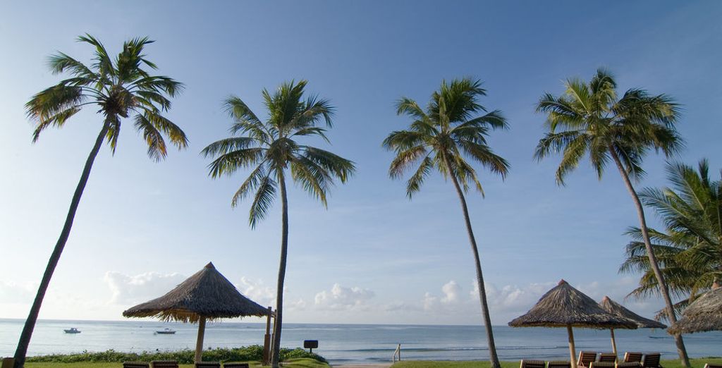 Combinado en Salvador, Praia do Forte y Río de Janeiro