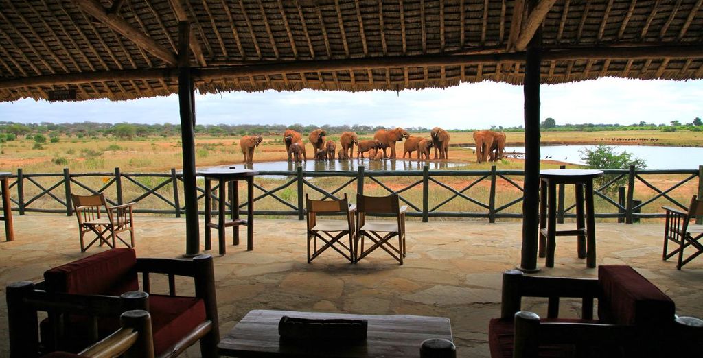Severin Sea Lodge 4* y Safari 