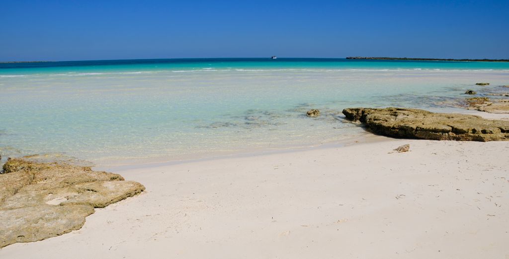 NH Capri  y  Hotel Playa Cayo Santa Maria 4*