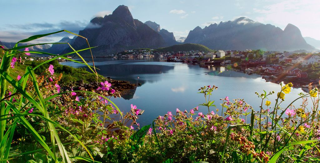 Laponia, Cabo Norte e Islas Lofoten