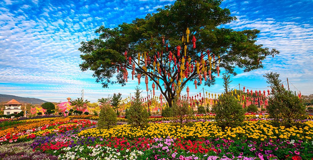 Bangkok, Triángulo de Oro y Krabi