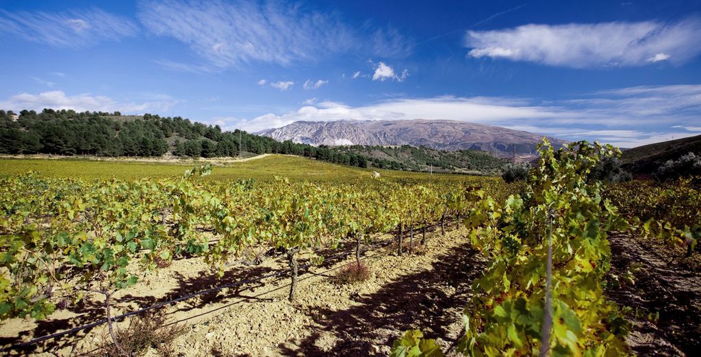 Hacienda Señorío de Nevada 4* - Valle de Lecrín