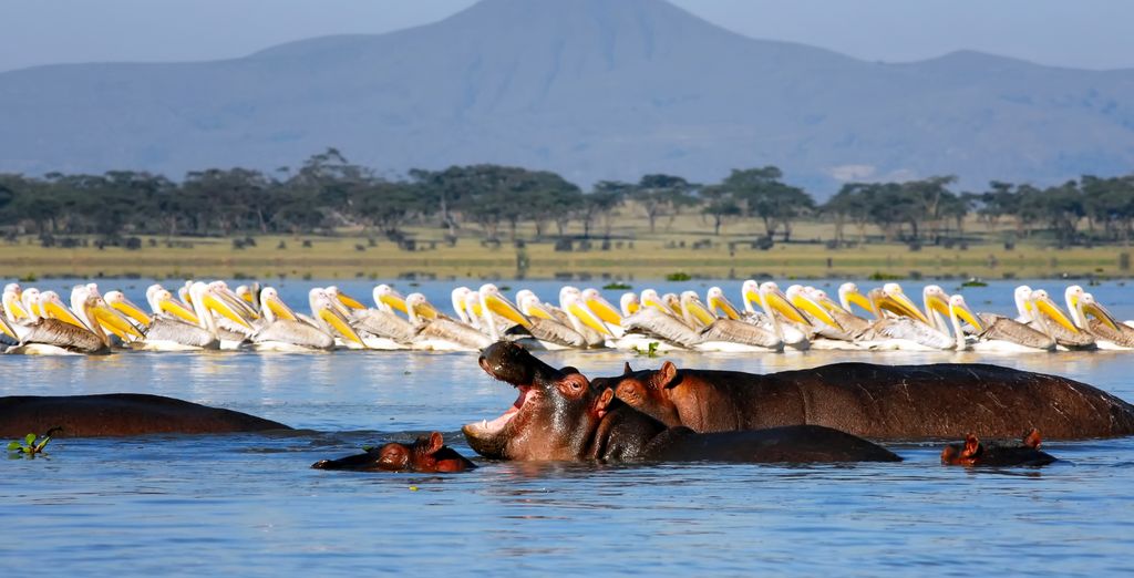 Safari privé : L'emblématique Kenya avec extension à Mombasa - Kenya - Jusqu'à -70% | Voyage Privé