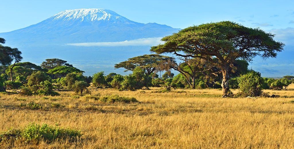 Tour du monde - 32 jours / 29 nuits, hôtels 3 et 4*