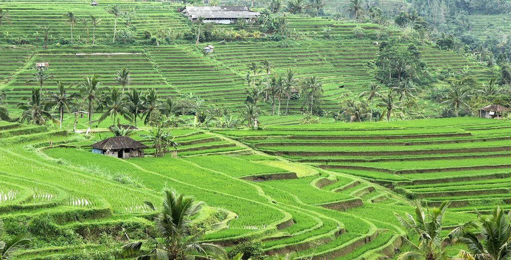 Circuit privatif au coeur de Bali - Ubud - Jusqu&#39;à -70% | Voyage Privé