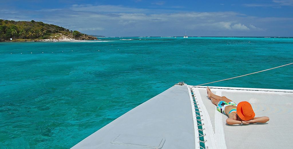 Croisière de rêve aux Grenadines en catamaran premium - Fort De France -  Jusqu'à -70% | Voyage Privé