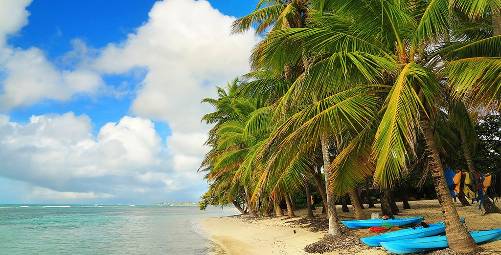 Combiné 3 îles Guadeloupe, Marie Galante et les Saintes