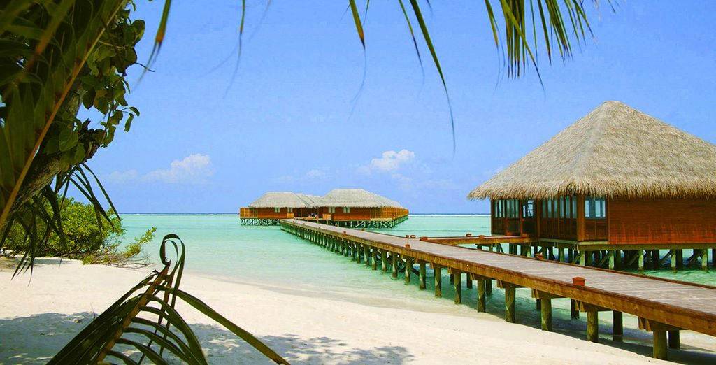 Meeru Island Resort & Spa 4* Voyage Privé : jusqu'à -70%