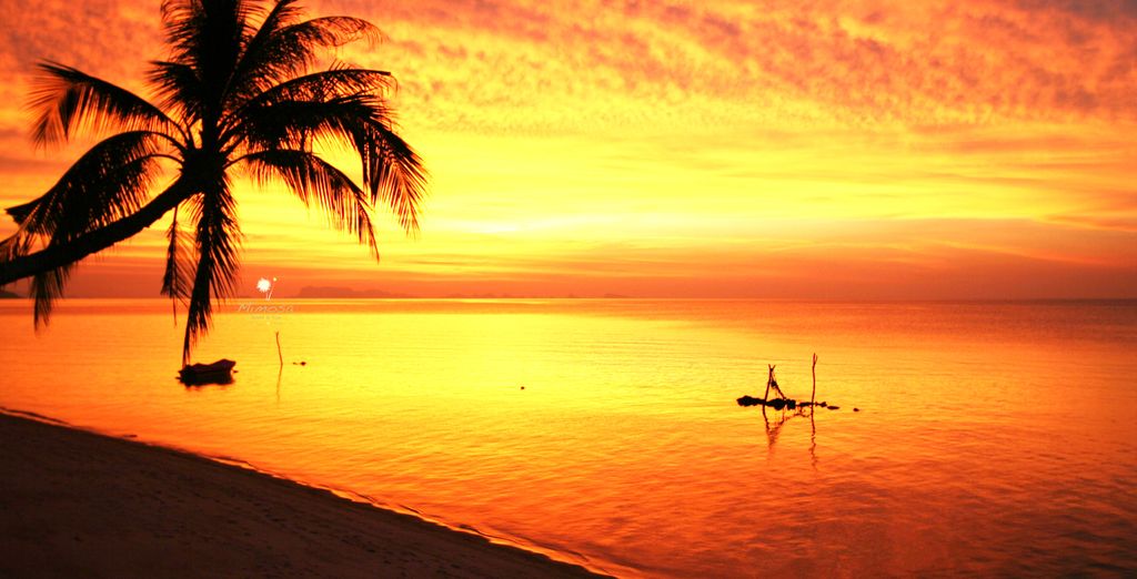  Mimosa Resort & Spa 4*
