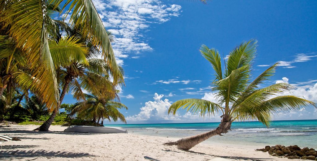 Tour Sabor Cubano con estensione mare