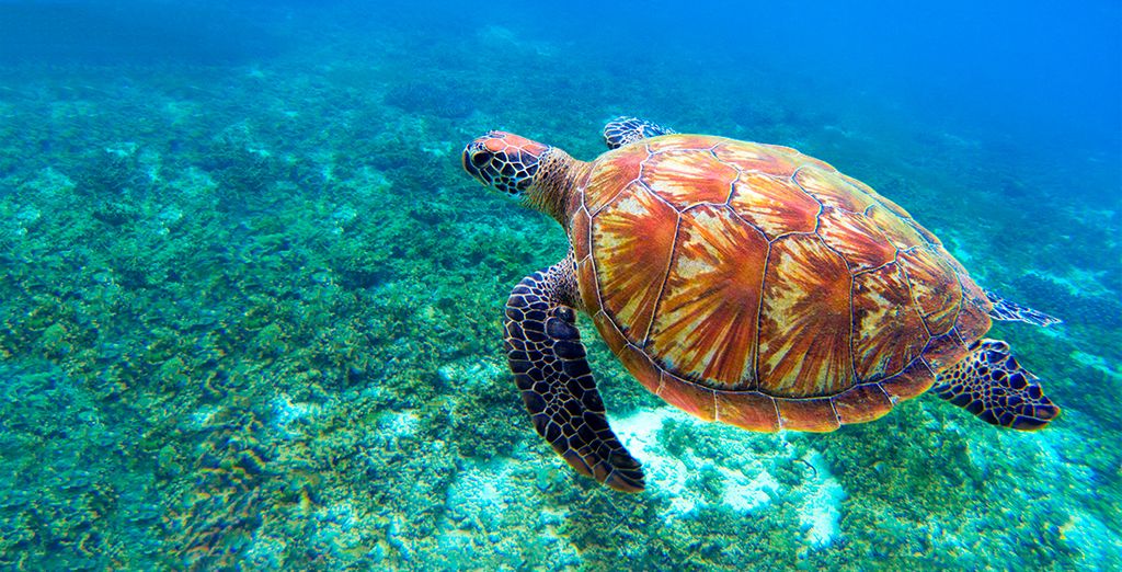 Tour i colori di Palawan