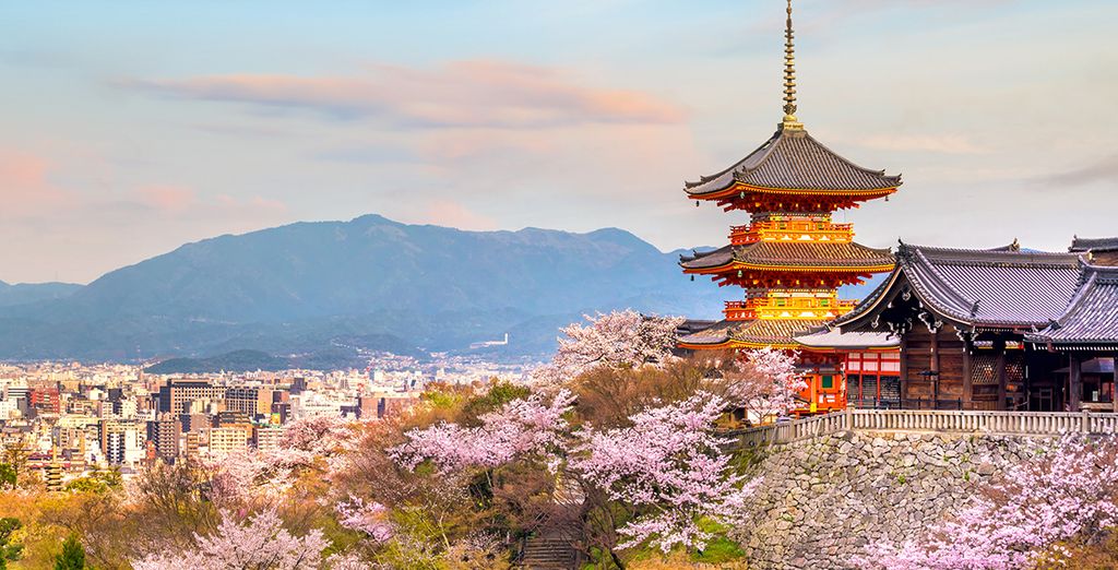Tour gli splendori del Giappone da Kyoto