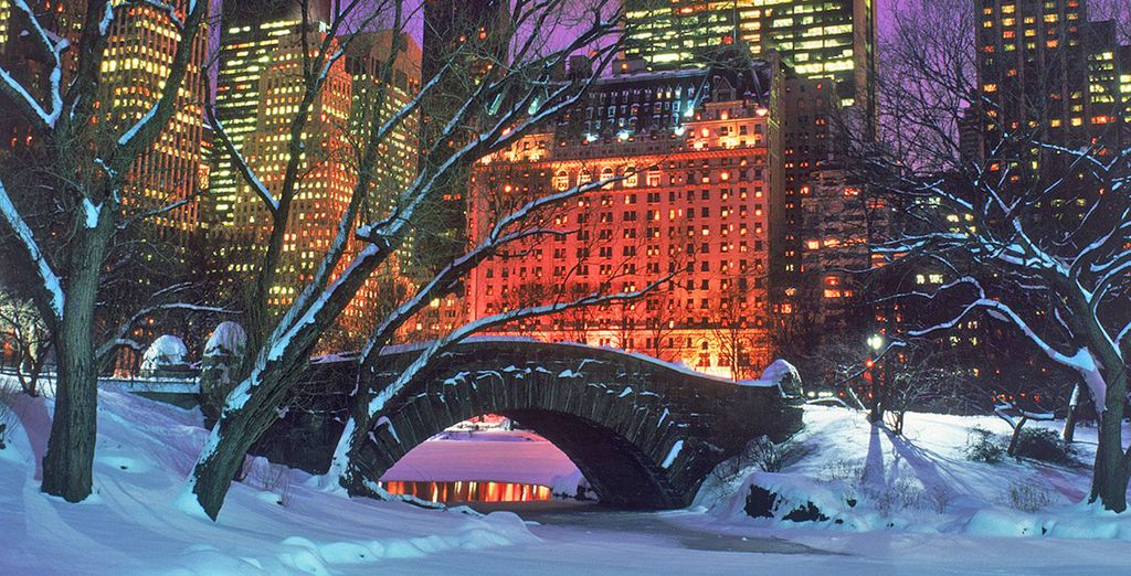 Shopping a New York + Hotel Edison (o similare)