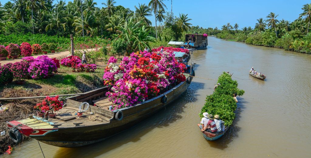 Tour tra il delta del Mekong, spiagge e possibile estensione nel nord