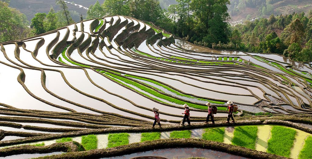 Tour indimenticabile Bali con possibile estensione a Singapore