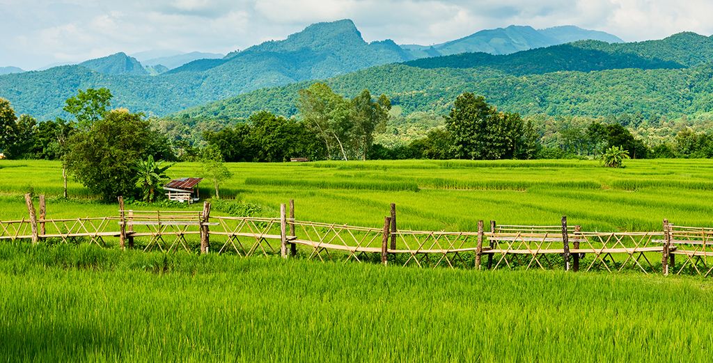 Tour a Nord di Bangkok + Chanalai Flora Resort Phuket 4*