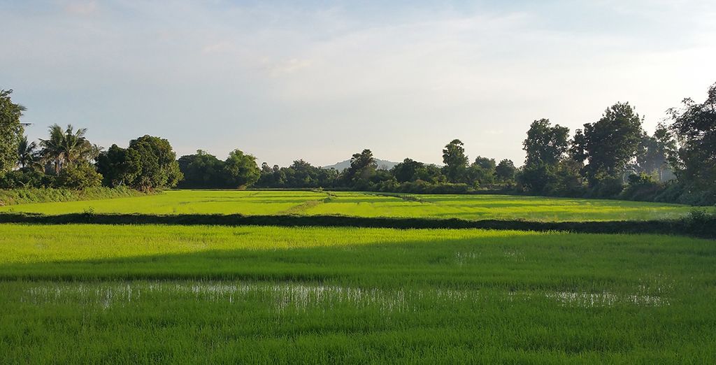 Imperdibile Tour della Cambogia con soggiorno a Siem Reap