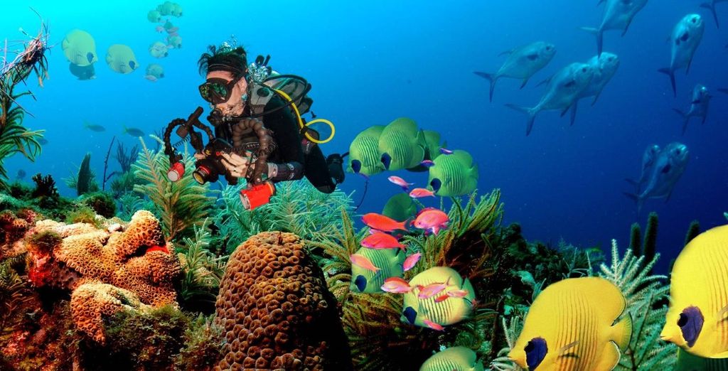 Mini tour Kandy + soggiorno mare Sri Lanka in 4* e 5*
