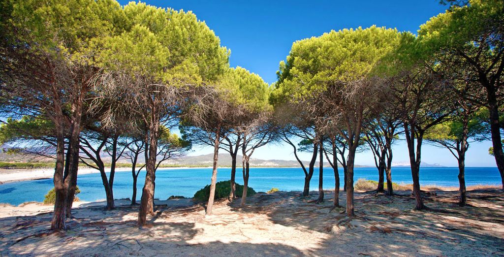 Hotel Mercure Olbia 4*