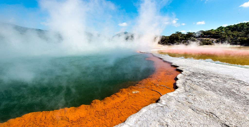 Autotour della Nuova Zelanda da Auckland a Christchurch 