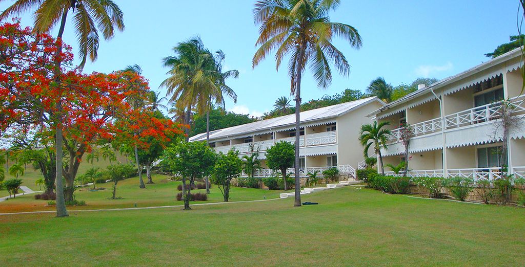 Hawksbill Beach Resort