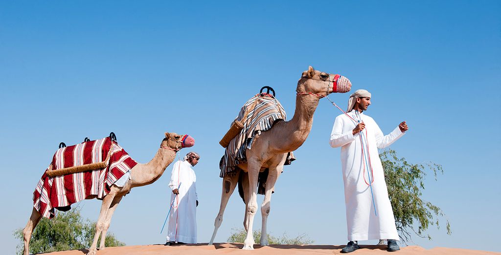 Al Wadi Desert 4* & Hyatt Regency 5*