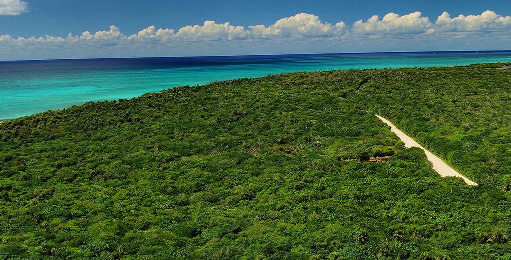 Stiles South Beach 4* o similare  + Crociera Caraibi Occidentali Navigator of the Seas