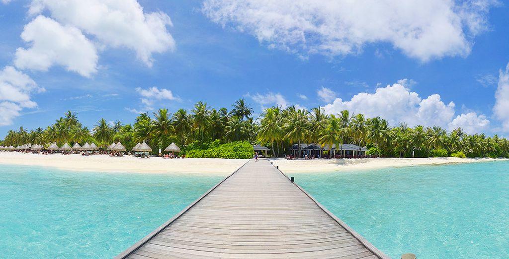 Minitour Sri Lanka + Sun Island Resort & Spa 4*
