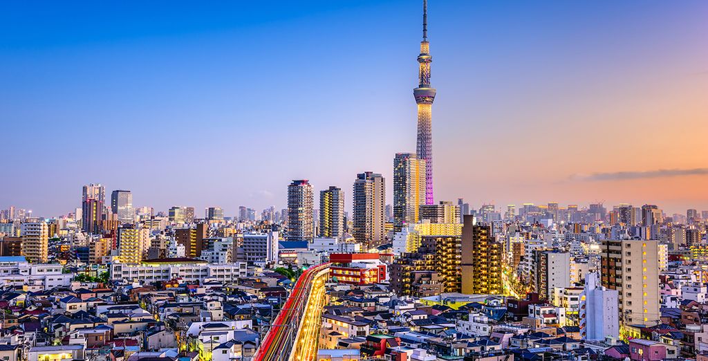 Tour del mondo in 14 notti da Dubai a New York