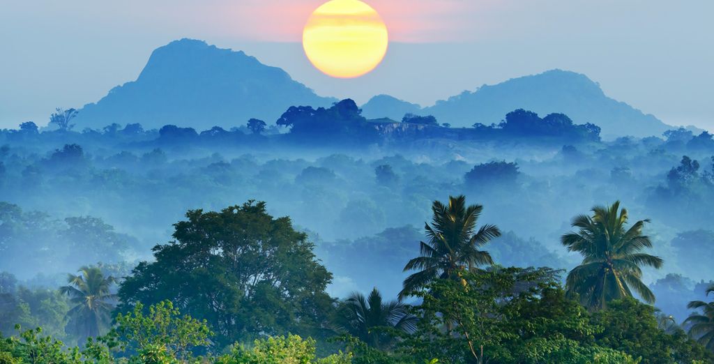 Mini Highlights dello Sri Lanka & estensione mare in 4*