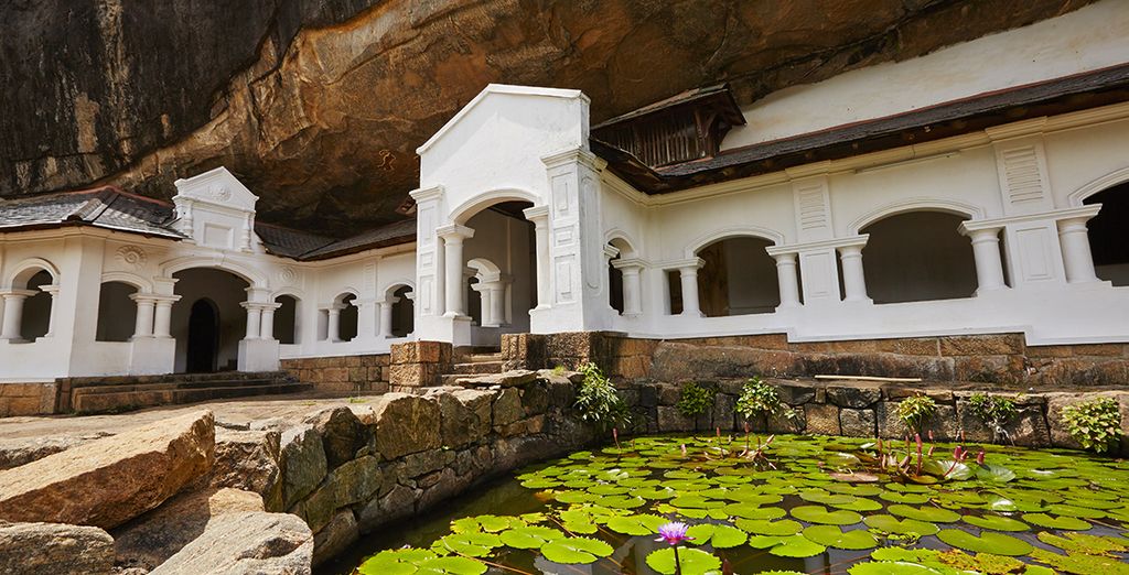Tour dello Sri Lanka in 8 o 10 notti