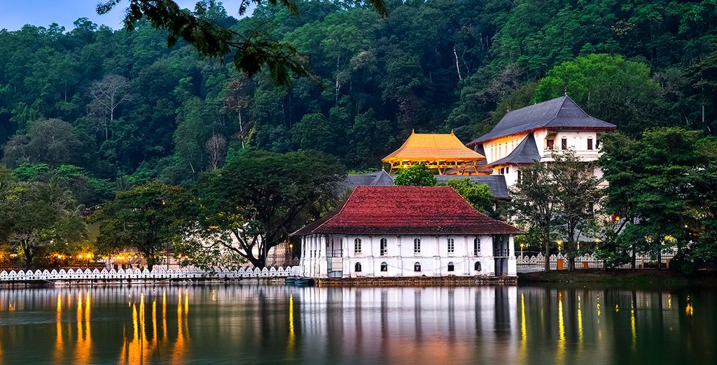 Tour privato dello Sri Lanka e soggiorno mare alle Maldive