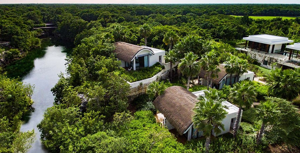 Andaz Mayakoba Resort Riviera Maya - A Concept By Hyatt 5*
