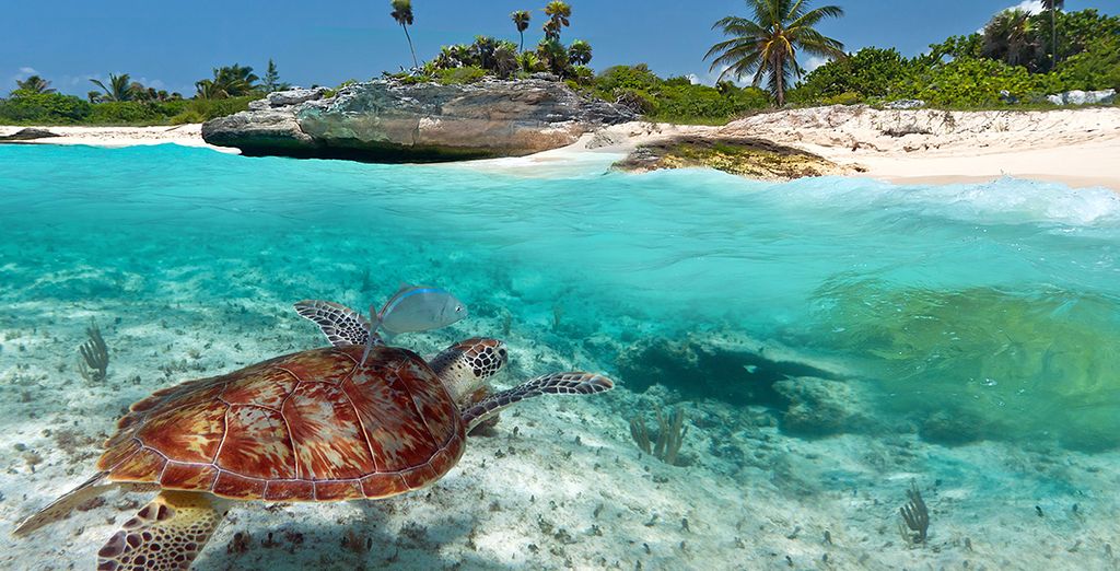 Crociera in catamarano alle Seychelles