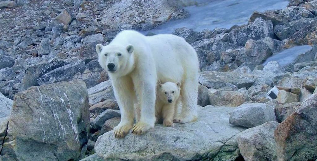 Alla scoperta di Oslo e Isole Svalbard