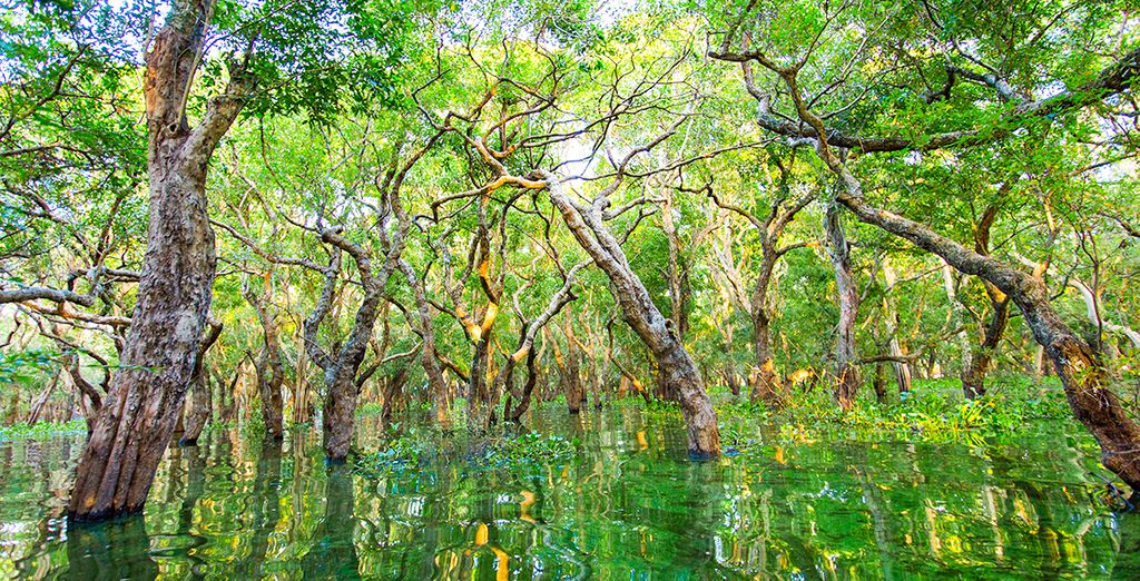 La magia del Vietnam con soggiorno in Cambogia