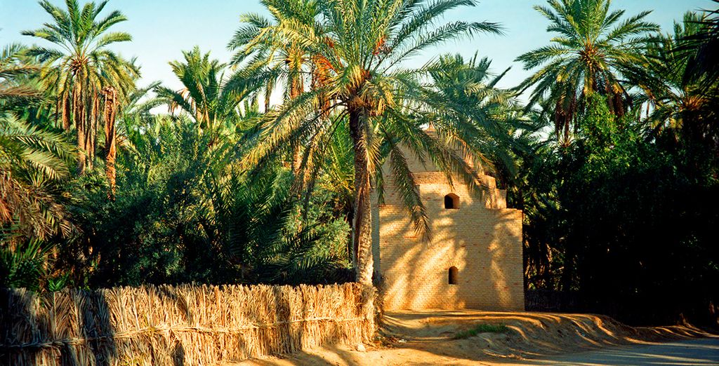 Tour tra spiaggia e deserto