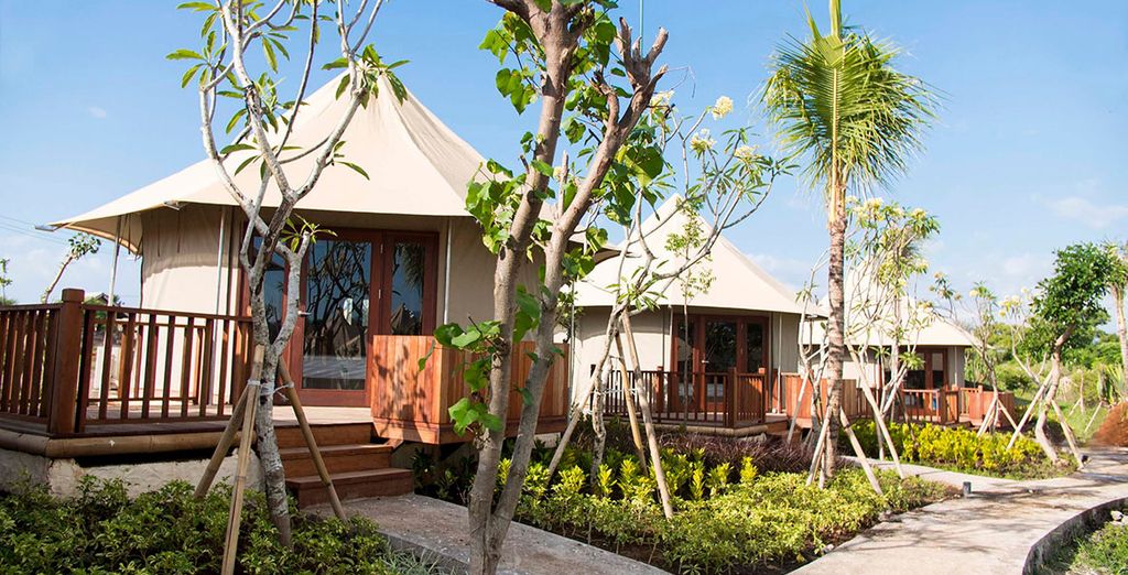 Alaya Resort Ubud 5* + Menjangan Dynasty Resort 5* + Melia Bali Resort Nusa Dua 5*