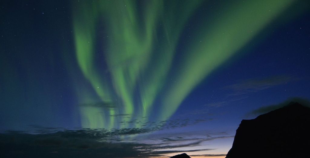 Tour delle Isole Lofoten con accompagnatore parlante italiano