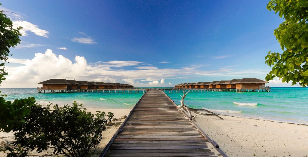 Tour del Triangolo d'Oro con possibile soggiorno alle Maldive