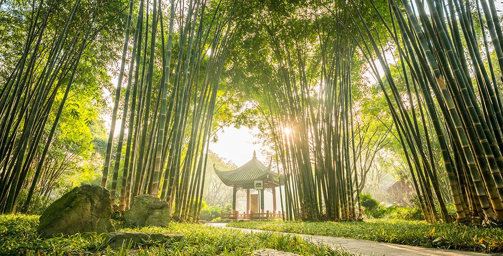 Tour della Cina con possibile estensione a Guilin e Hong Kong