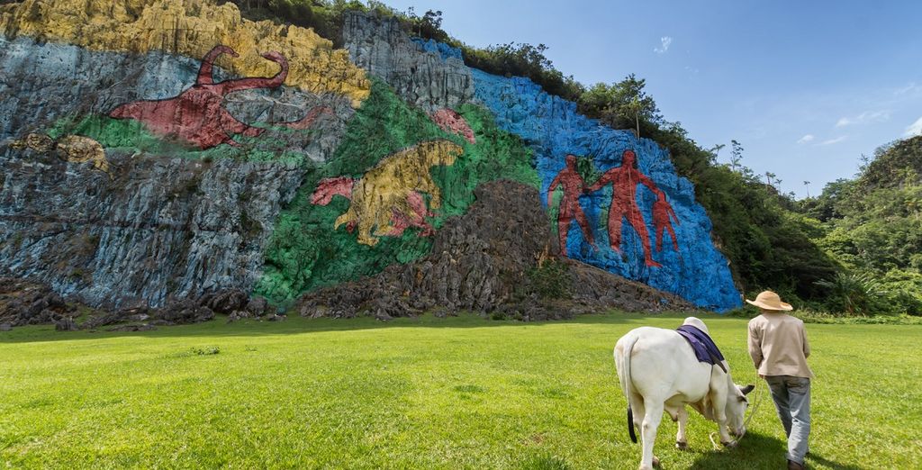 Tour di Cuba a 360°, mare, storia e natura 