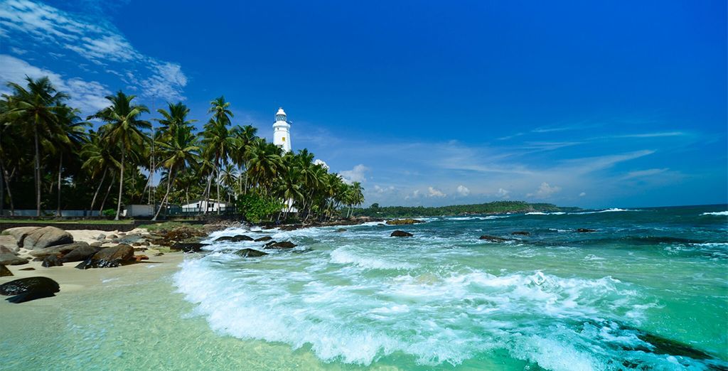 Tour Privato dello Sri Lanka