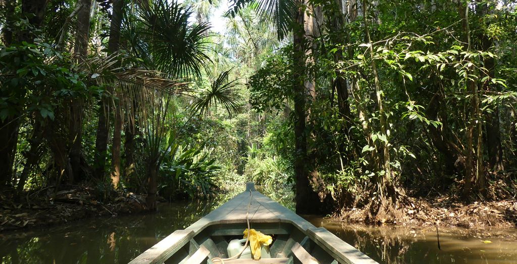 Tour privato del Perù e dell'Amazzonia