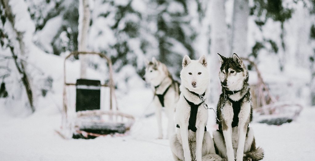 Da Rovaniemi alla Lapponia in Treno
